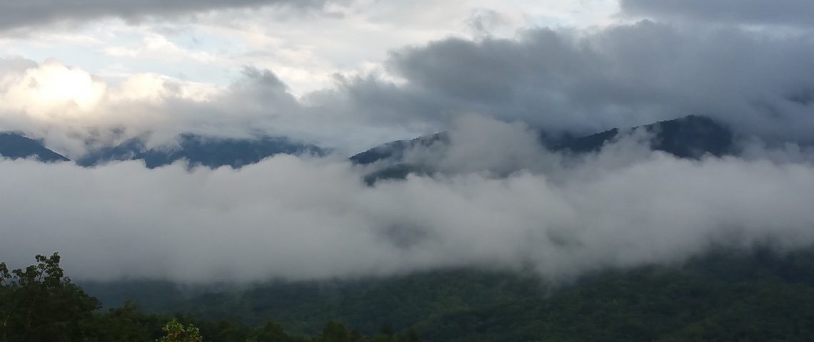 Great Smoky Mountains National Park: Hit the Trails | By Paige Nicole