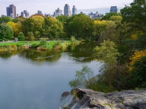 what are some free things to do in NYC, free things to do in NYC, free things to do in New York City, Shakespear in the park NYC, New York Shakespear in the park, new york city parks.