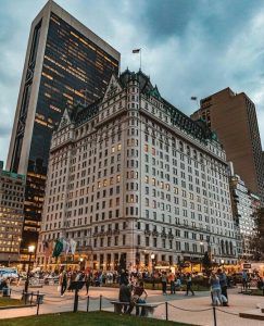 NEW YORK CITY HOTELS THE PLAZA HOTEL