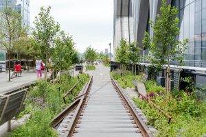 Best New York City hotels, The HIgh Line Hotel in New York City.